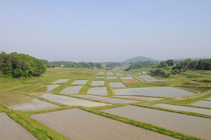 11.生醤油100ml